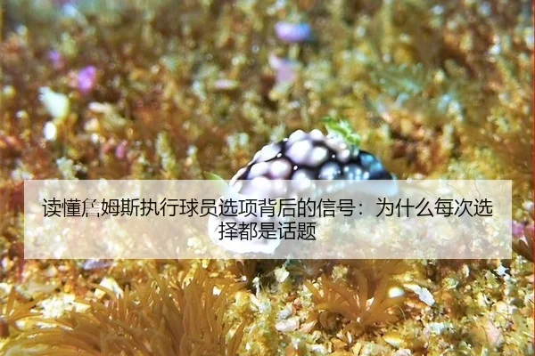 读懂詹姆斯执行球员选项背后的信号：为什么每次选择都是话题